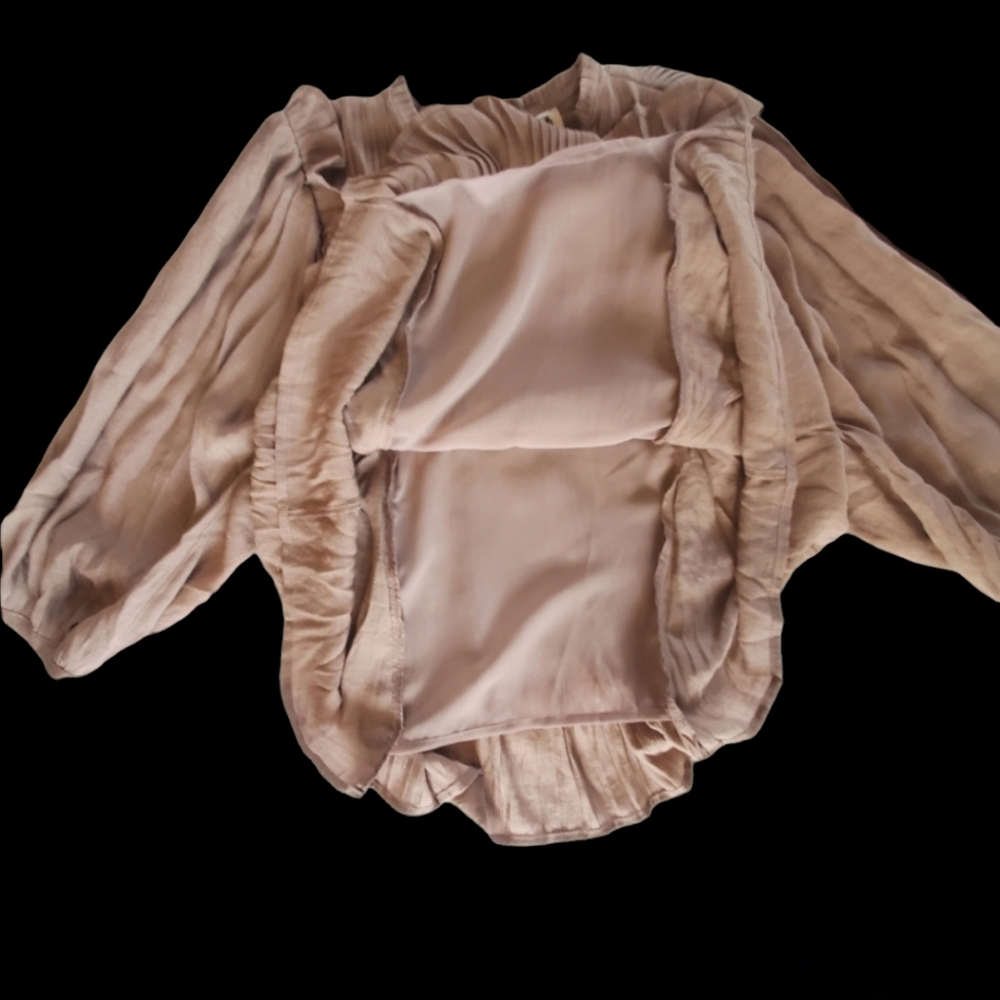 Pleated Ruffled Blouse - Picture 5 of 8